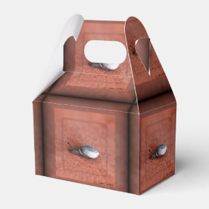 Macro Photograph of Snail on Terracotta Favour Box