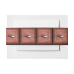 Macro Photograph of Snail on Terracotta Invitation Belly Band