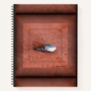 Macro Photograph of Snail on Terracotta Notebook