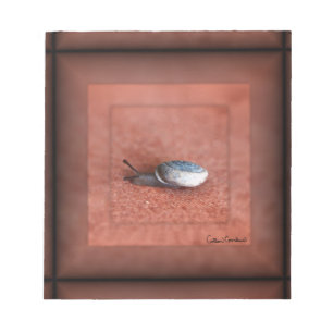Macro Photograph of Snail on Terracotta Notepad
