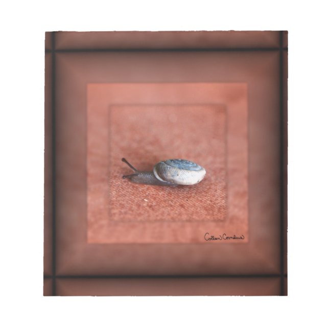 Macro Photograph of Snail on Terracotta Notepad (Front)