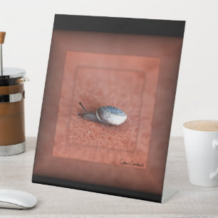 Macro Photograph of Snail on Terracotta Pedestal Sign