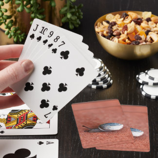 Macro Photograph of Snail on Terracotta Playing Cards