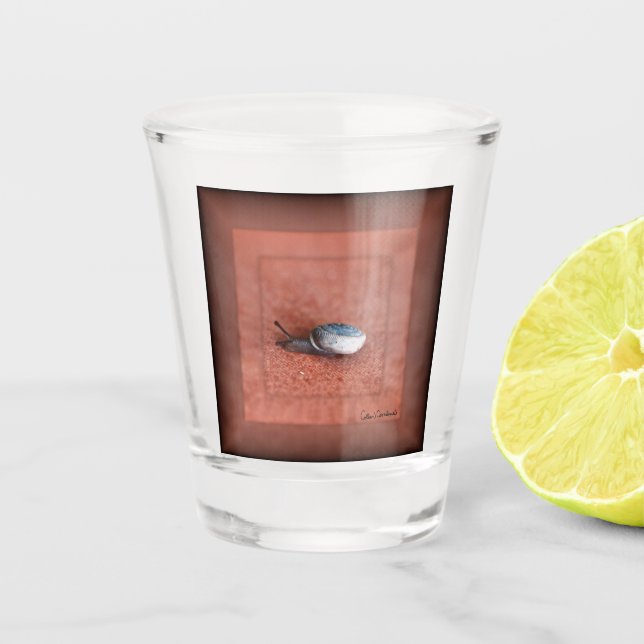 Macro Photograph of Snail on Terracotta Shot Glass (Front)