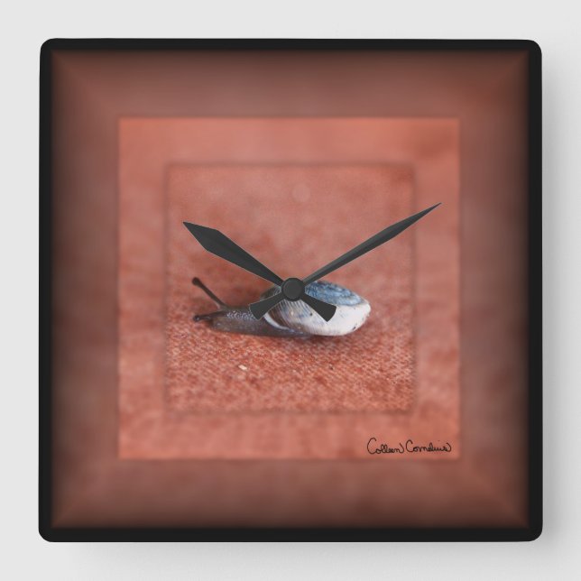Macro Photograph of Snail on Terracotta Square Wall Clock (Front)