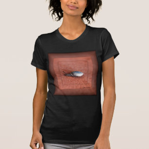 Macro Photograph of Snail on Terracotta T-Shirt