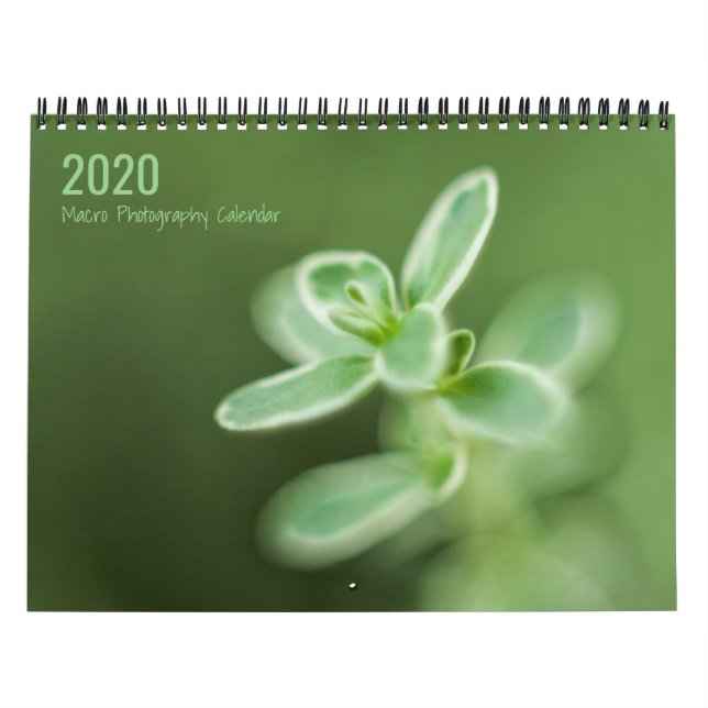 Macro Photography Calendar (Cover)