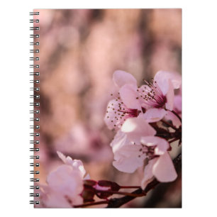MACRO PHOTOGRAPHY OF BLOOMING PINK CHERRY BLOSSOMS NOTEBOOK