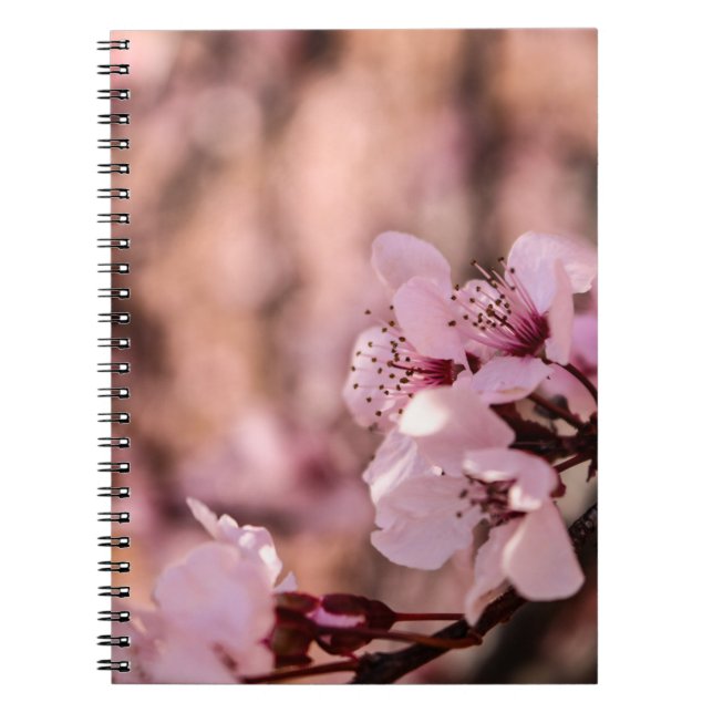 MACRO PHOTOGRAPHY OF BLOOMING PINK CHERRY BLOSSOMS NOTEBOOK (Front)