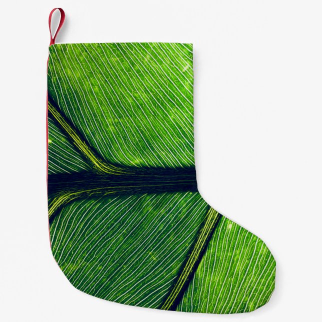 Macro photography of green leaf small christmas stocking (Front)