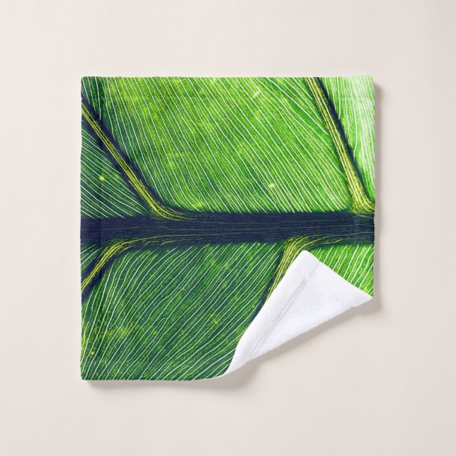 Macro photography of green leaf wash cloth (Wash Cloth)
