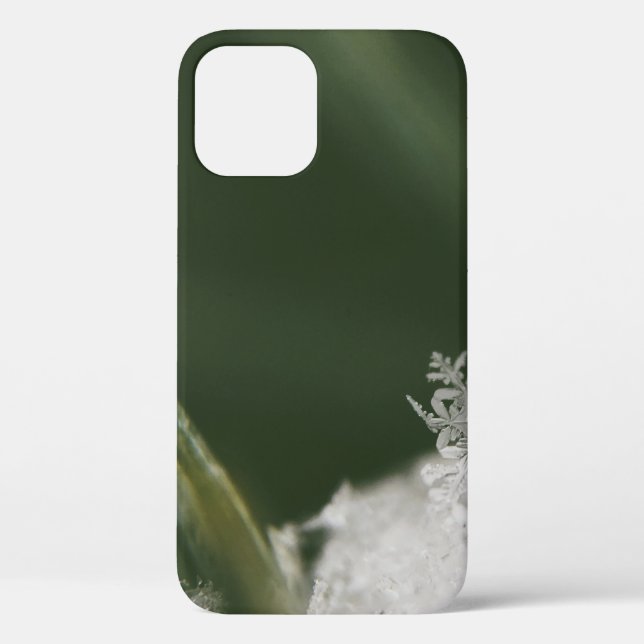 Macro-photography of now crystals Case-Mate iPhone case (Back)