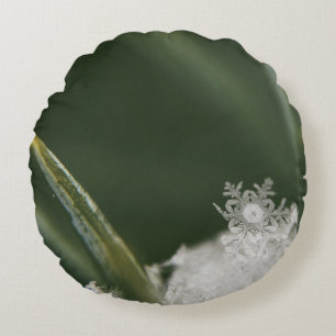 Macro-photography of now crystals round cushion