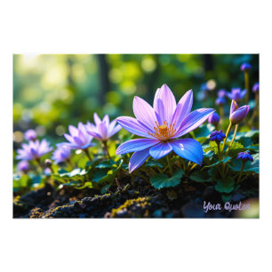 Macro Purple Forest Wildflowers with Dew Photo Print