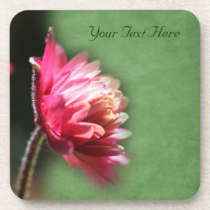 Macro Red Flower Nature Coaster Set