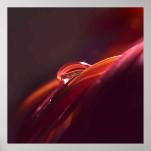 Macro Red petal Poster
