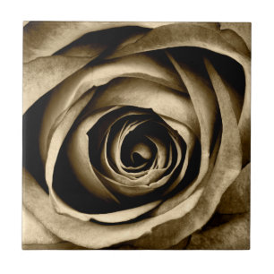 Macro Rose Ceramic Tile