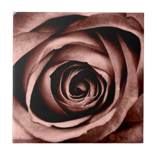 Macro Rose Ceramic Tile
