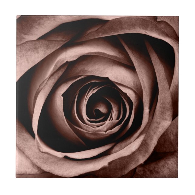 Macro Rose Ceramic Tile (Front)