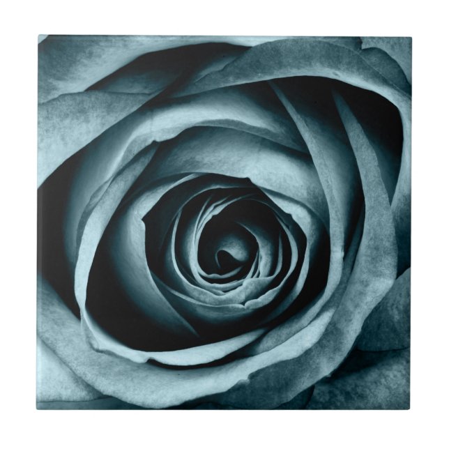 Macro Rose Ceramic Tile (Front)