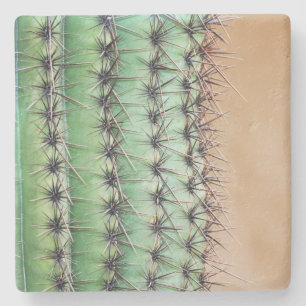 Macro Saguaro Cactus,Arizona, square stone coaster