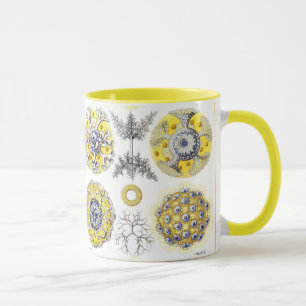 Macro Sea Creatures Amoeba Mug