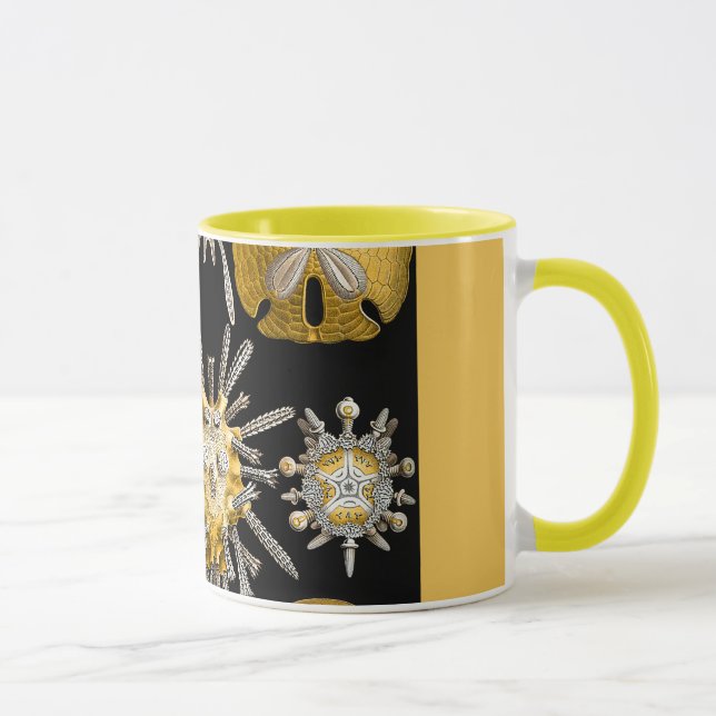 Macro Sea Creatures Sea Urchins Mug (Right)