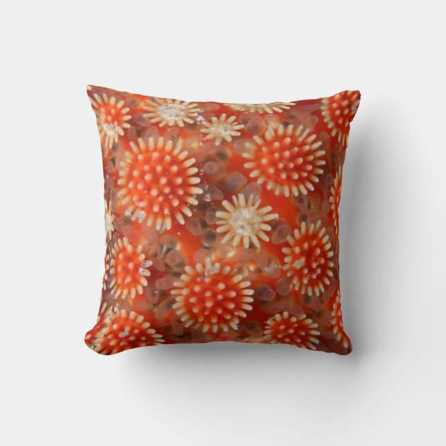 Macro Sea Star Cushion (Front)