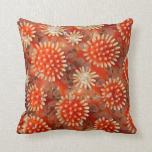 Macro Sea Star Cushion