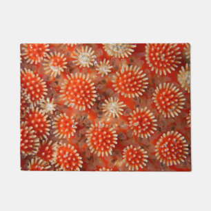Macro Sea Star Doormat