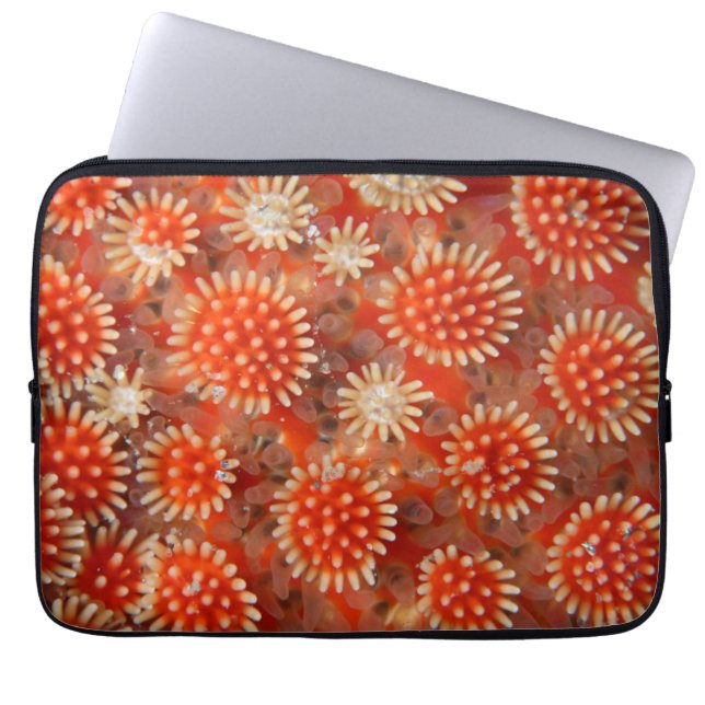 Macro Sea Star Laptop Sleeve (Front)