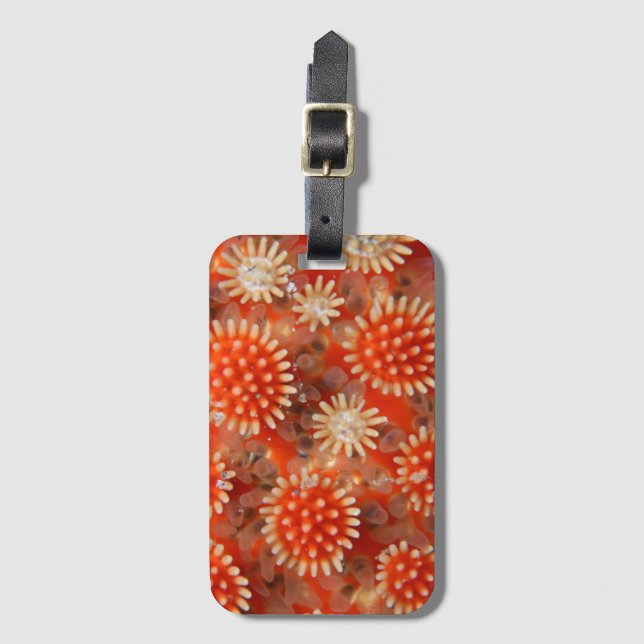 Macro Sea Star Luggage Tag (Front Vertical)