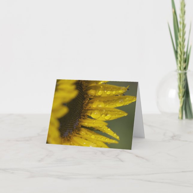 Macro Sunflower Card (Front)