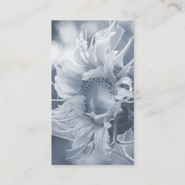 Macro Sunflower in Grayish Blue Business Card (Front)
