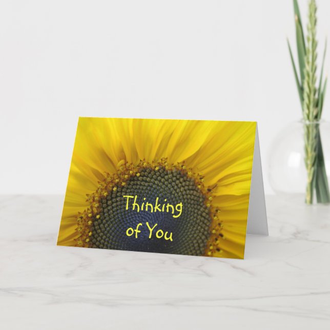 Macro Sunflower Thinking of you Card (Front)
