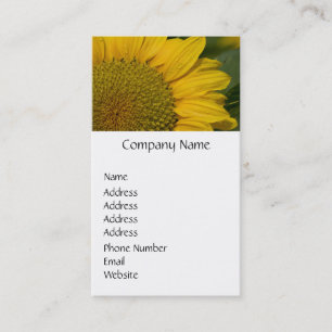 Macro Sunflower With Raindrops Business Card