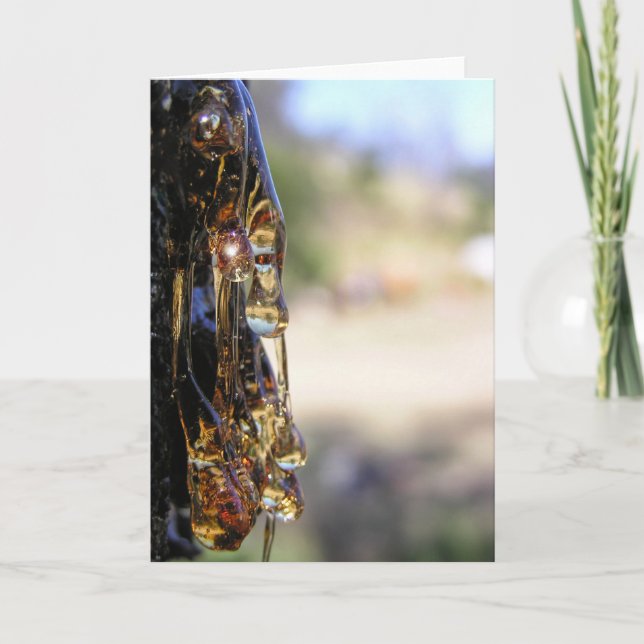 Macro : Tree Sap Liquid Diamonds Card (Front)