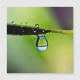 Macro water drops