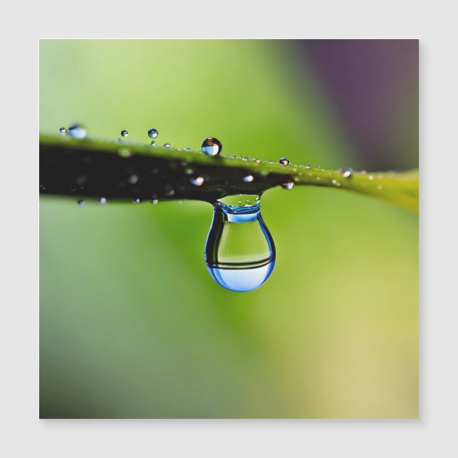 Macro water drops (Front)