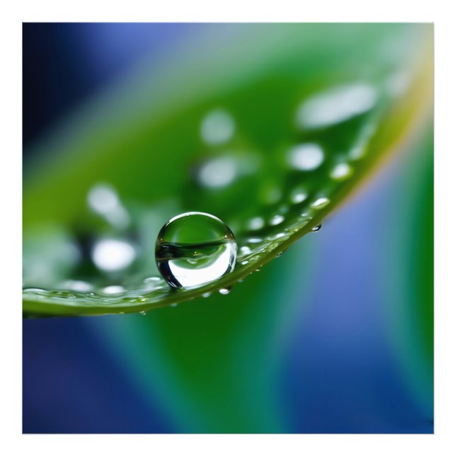 Macro water drops photo print (Front)