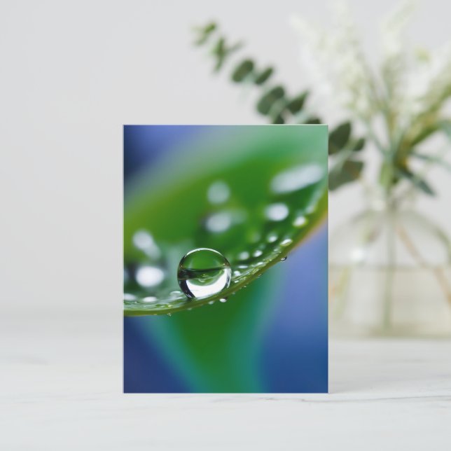 Macro water drops postcard (Standing Front)