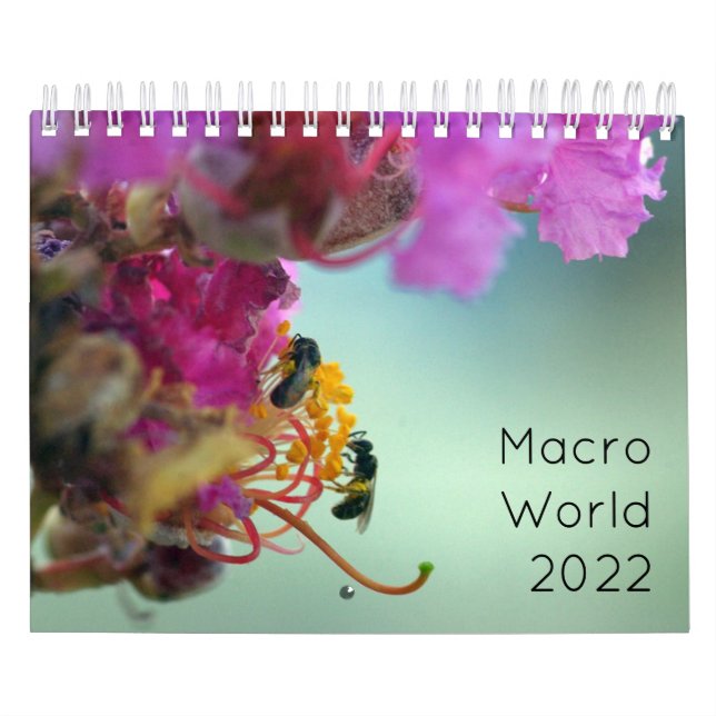 Macro World 2022 Calendar (Cover)