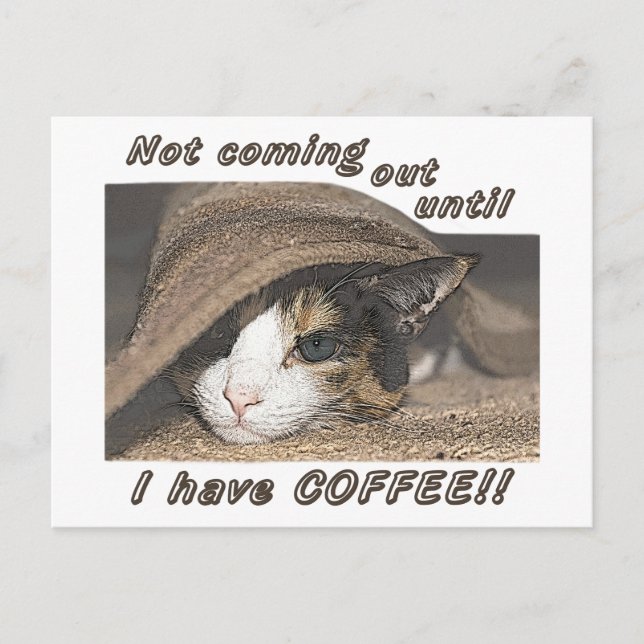 Macy Wants Coffee Too Post Card (Front)