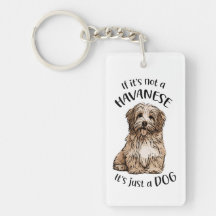 Mad about Havanese