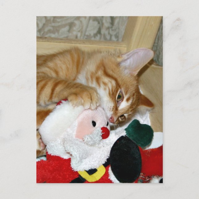 Mad at Santa Holiday Postcard (Front)