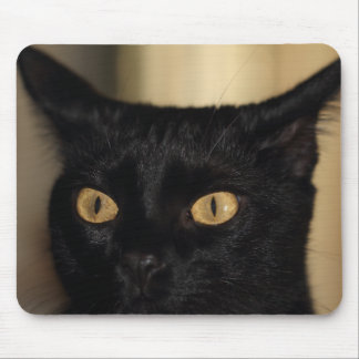 Mad cat mouse pad