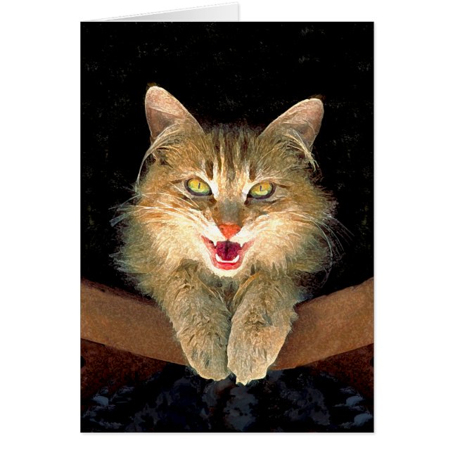 Mad Cat Painting - Cute Original Cat Art (Front)