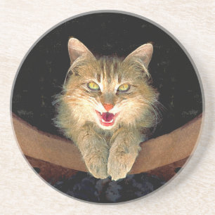 Mad Cat Painting - Cute Original Cat Art Coaster