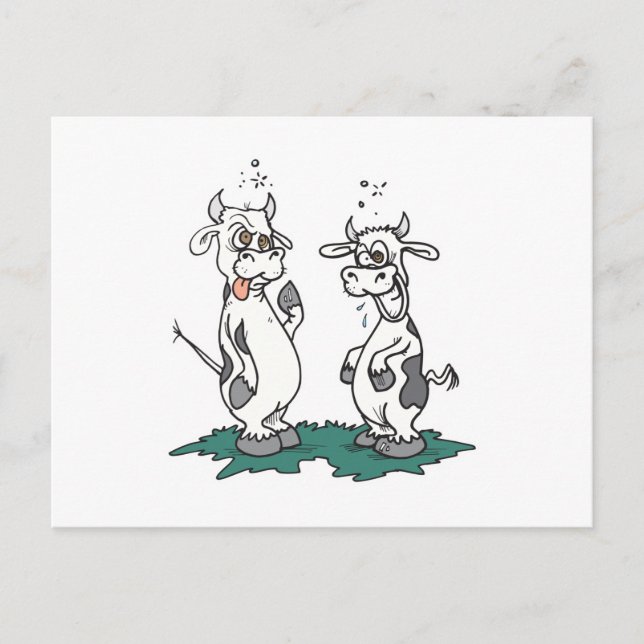 mad crazy cows postcard (Front)