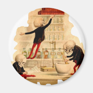Mad Scientist Skeletons Magnet